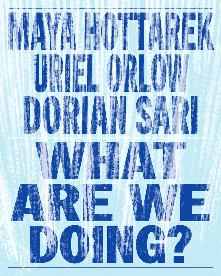 What Are We Doing? – Hottarek, Orlow, Sari