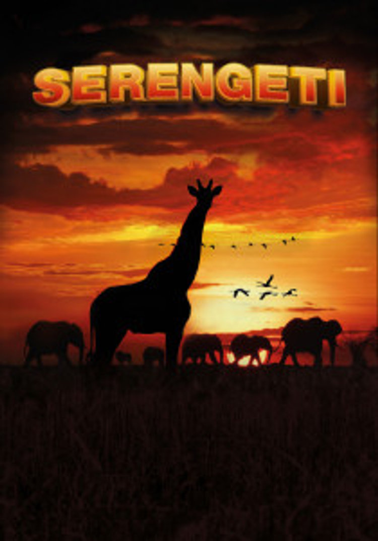Serengeti – 3D