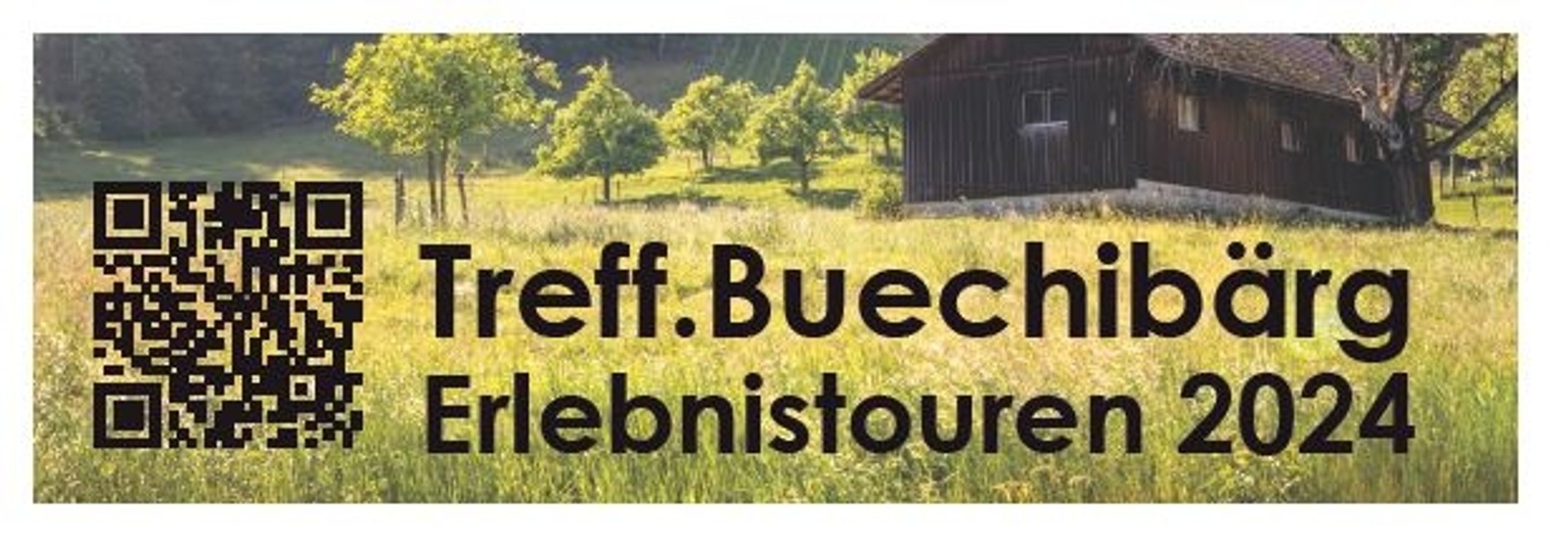 Treffpunkt Buechibärg #1 - Sagibach Holz in Schnottwil